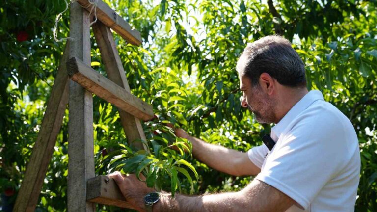 Gürsu’da ilçe tarımını dönüştürecek yeni proje