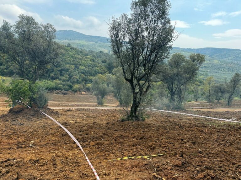Tarım arazilerinizi koruyun, hisseli satışlara dikkat